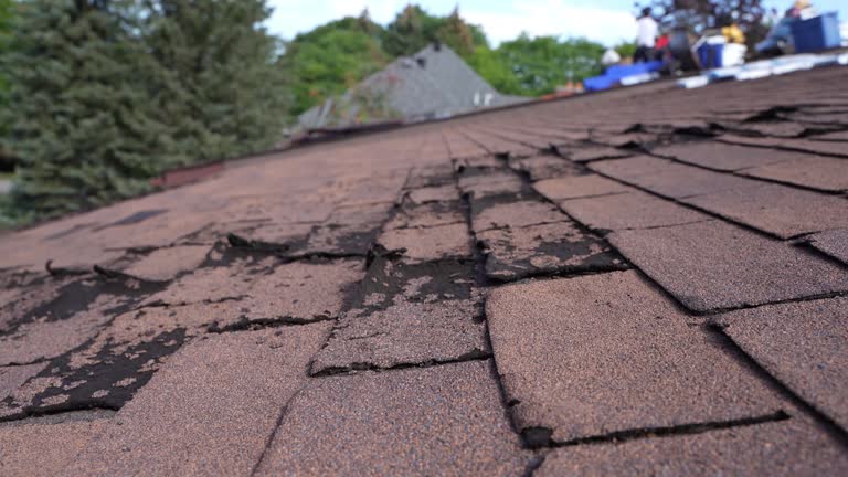 Asphalt Shingles Roofing in Pass Christian, MS